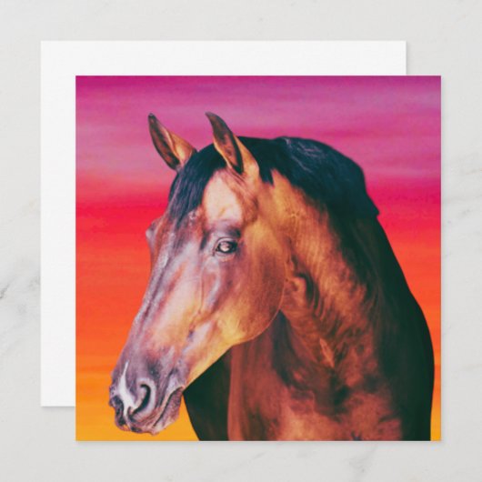 Carte Dégradé de la baie (Devant / Derrière)