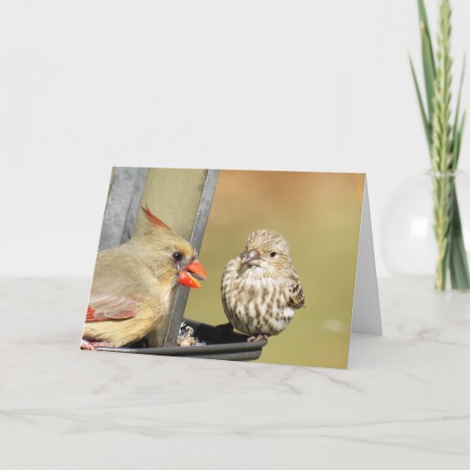 Carte Déjeuner à la mangeoire aux oiseaux (Devant)