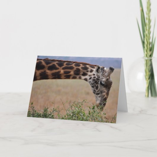 Carte Déjeuner pour un (Devant)