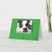 Carte d'Elf Boston Terrier (Dos)