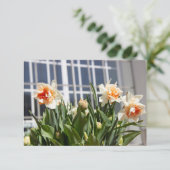 Carte Délicat mignon daffodils printemps (Debout devant)