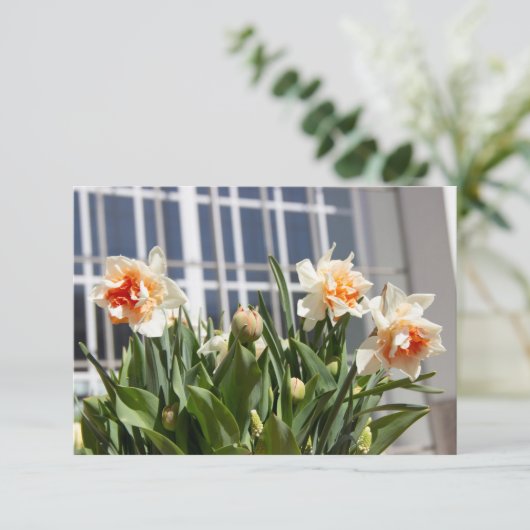 Carte Délicat mignon daffodils printemps (Debout devant)