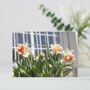 Carte Délicat mignon daffodils printemps