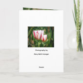 Carte Délice de Tulipe (Dos)