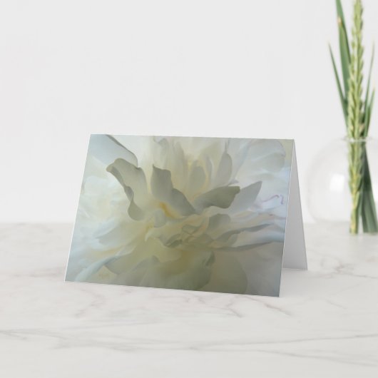 Carte Délice sensuel AH2010 (Devant)