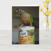 Carte delicimandarin (Fleur jaune)