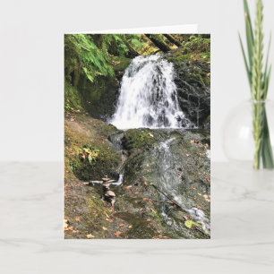 Carte Dell Falls, Oregon