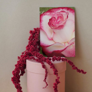 Carte Demande en mariage personnalisée avec rose rose et