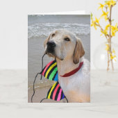 Carte Demi-anniversaire Labrador extracteur avec bikini (Fleur jaune)