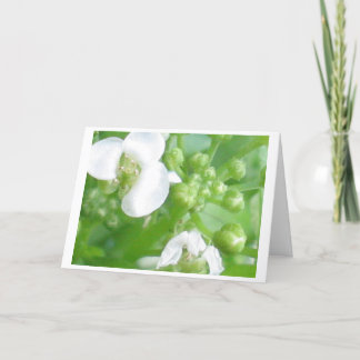 carte d'encouragement