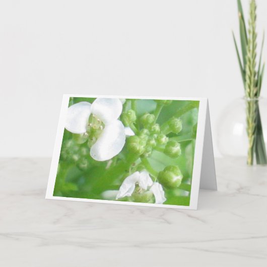 carte d'encouragement (Devant)