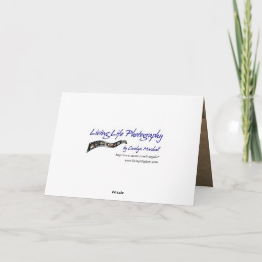 Carte d'encouragement (Dos)