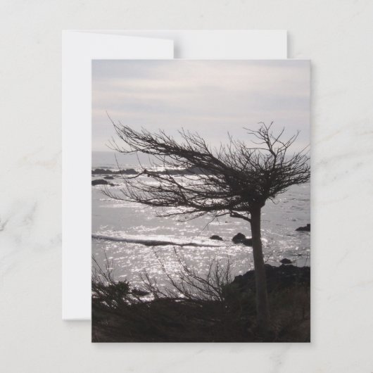 Carte d'encouragement de versets de la Bible Océan (Devant)