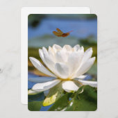 Carte d'encouragement : Pas de boue, pas de lotus (Devant / Derrière)