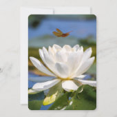 Carte d'encouragement : Pas de boue, pas de lotus (Devant)