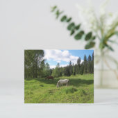 Carte d'encouragement Verte Vallée Bible Verse (Debout devant)