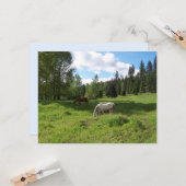 Carte d'encouragement Verte Vallée Bible Verse (Devant/Arrière en situation)