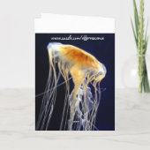 Carte - dentelle de dérive (Dos)