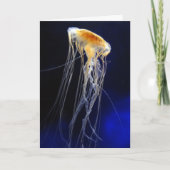 Carte - dentelle de dérive (Devant)