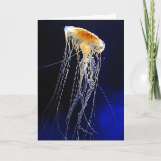 Carte - dentelle de dérive (Devant)