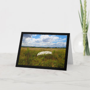 Carte Dentelle sauvage dans la prairie