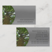 Carte d'entreprise de services d'arbre (Devant / Derrière)