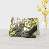 Carte d'épluchage d'écureuil adorable (Fleur jaune)