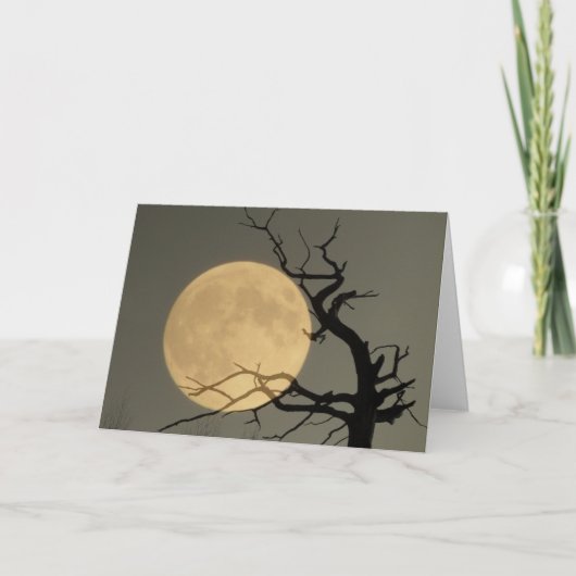 Carte Derrière (Devant)