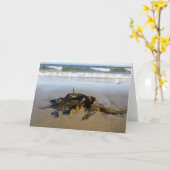 Carte Des algues ! (Fleur jaune)