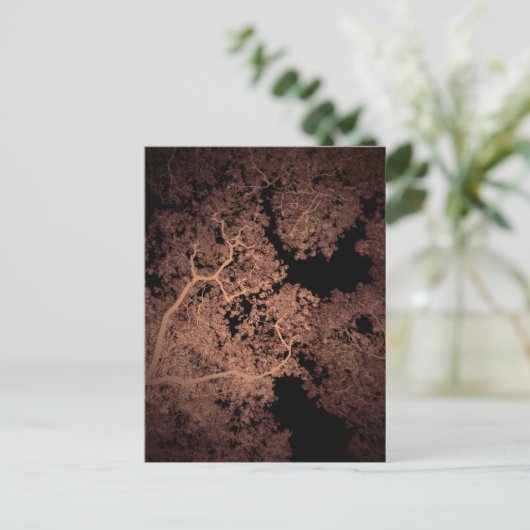 Carte des arbres 5 (Debout devant)