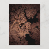Carte des arbres 5 (Devant)
