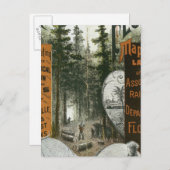 Carte des cantons, Floride (Devant / Derrière)