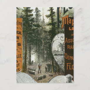 Carte des cantons, Floride