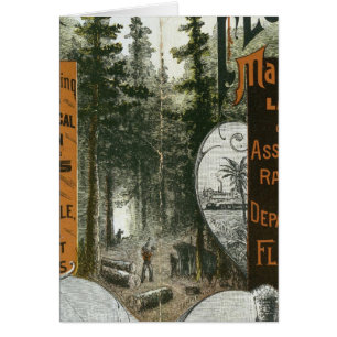 Carte des Cantons, Floride