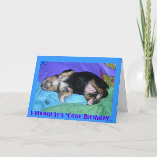 Carte des chiots dure journée, j'ai entendu que c'est (Devant)