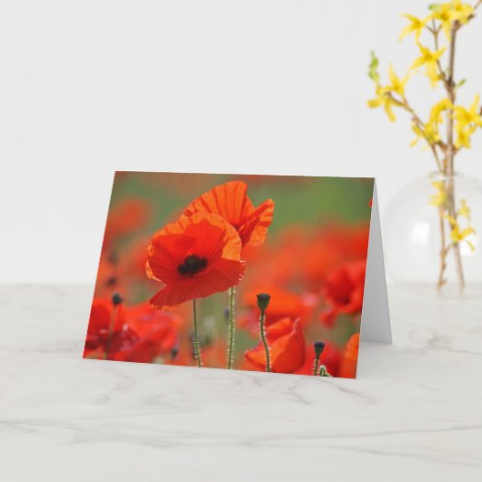 Carte Des cochons. (Fleur jaune)