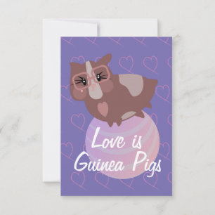 Carte Des cochons de Guinée mignons en exercice
