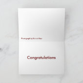 Carte Des étoiles de mer, vous êtes une étoile ! (Intérieur)