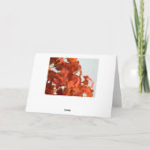 Carte des feuilles d'automne lumineuses (Dos)