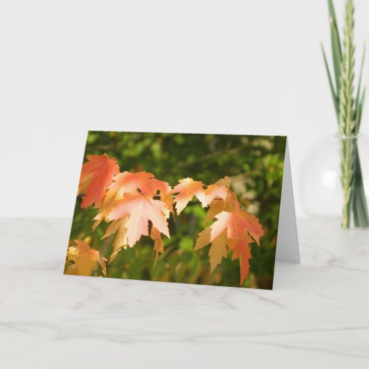 Carte des feuilles d'automne lumineuses (Devant)