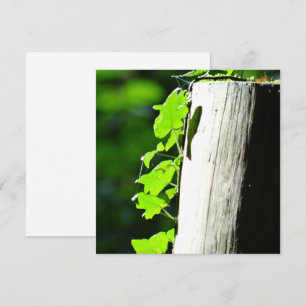 Carte Des feuilles de lierre vert dans un tronc d'arbre