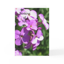 Des Fleurs sauvages pourpres qui pensent de vous