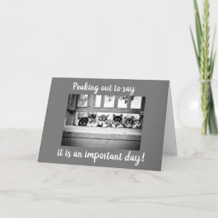 CARTE DES PETITS PETITS DISENT *JOLI ANNIVERSAIRE* DE LO