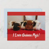 Carte des porcs Guinée (Devant / Derrière)