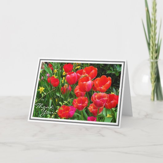 Carte Des tulipes rouges brillantes contre le feuillage  (Devant)