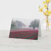 Carte Des tulipes rouges et roses saluent la journée par (Fleur jaune)