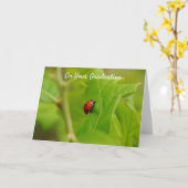 Carte d'Escalade à la réussite de Ladybug (Fleur jaune)
