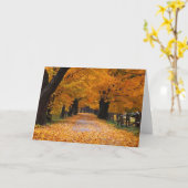 Carte Descendre le chemin de la mémoire de l'automne (Fleur jaune)