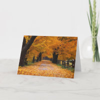 Descendre le chemin de la mémoire de l'automne