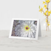 Carte Desert chicory (Fleur jaune)